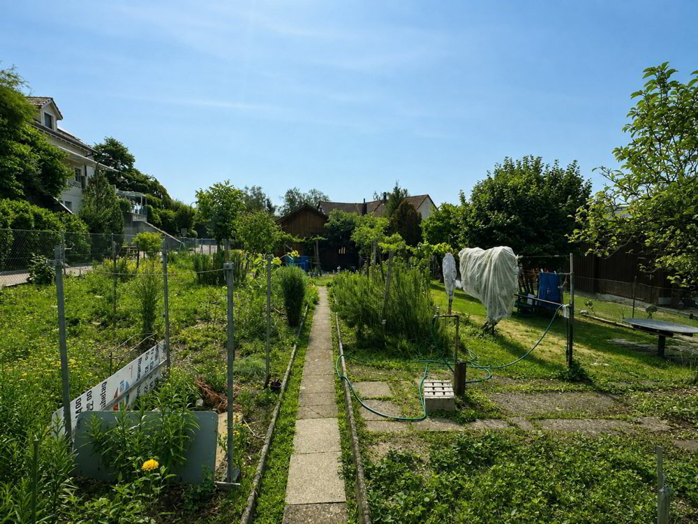 ATTRAKTIVES BAULAND AN SONNIGER LAGE - Ansicht 3