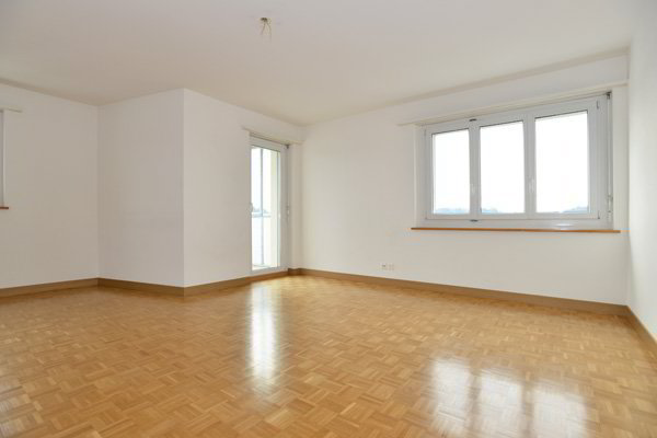 Wohnung – Effretikon