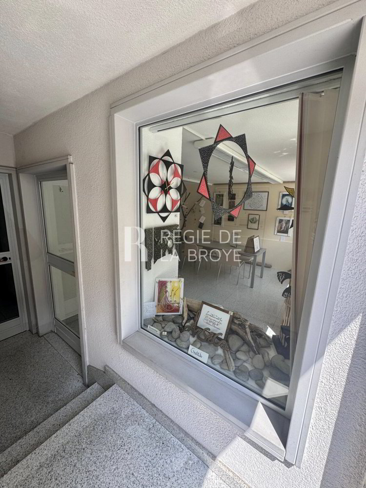 null rooms Office & Commercial for rent in Estavayer-le-Lac - image 1/9