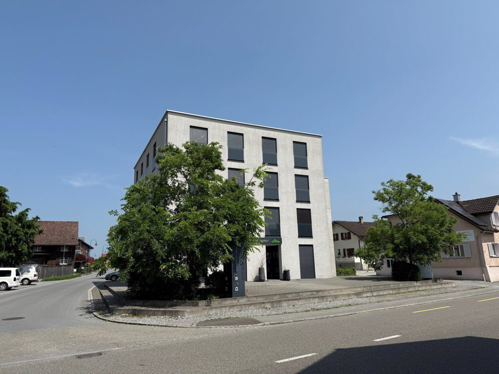 Ufficio & Commercio di null locali in affitto a Widnau - immagine 1/9