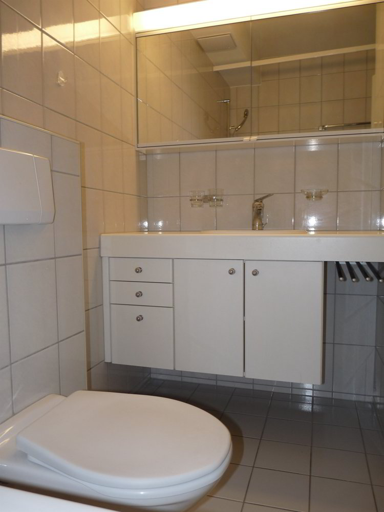 Appartamento di 3 locali in affitto a Basilea - immagine 1/9