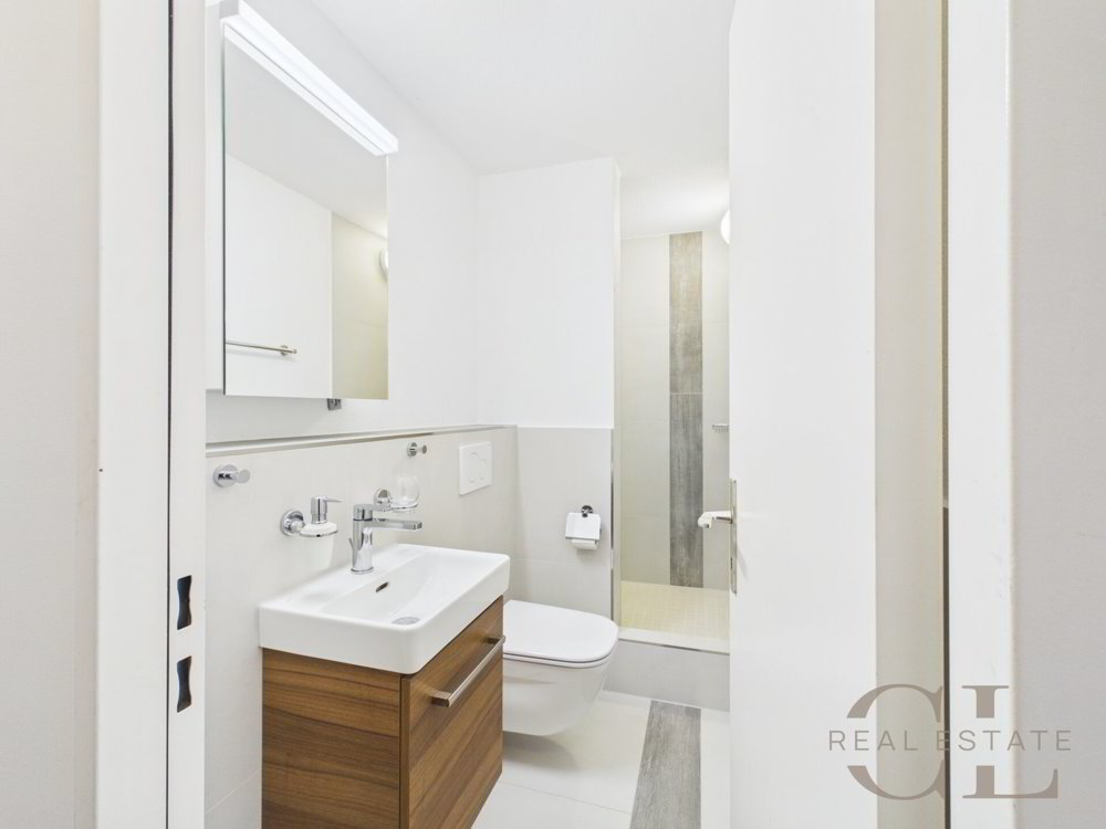 Casa di null locali in vendita a Liestal - immagine 1/15