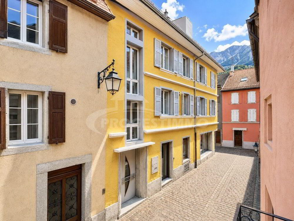 Immeuble d'habitation en vente à AU CENTRE DE LA VILLE - 398 m²