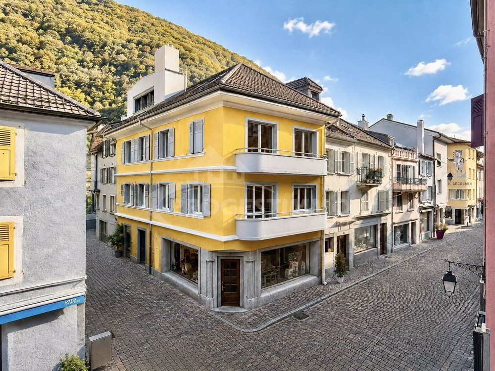 Immeuble d'habitation en vente à AU CENTRE DE LA VILLE - 398 m² - Ansicht 2