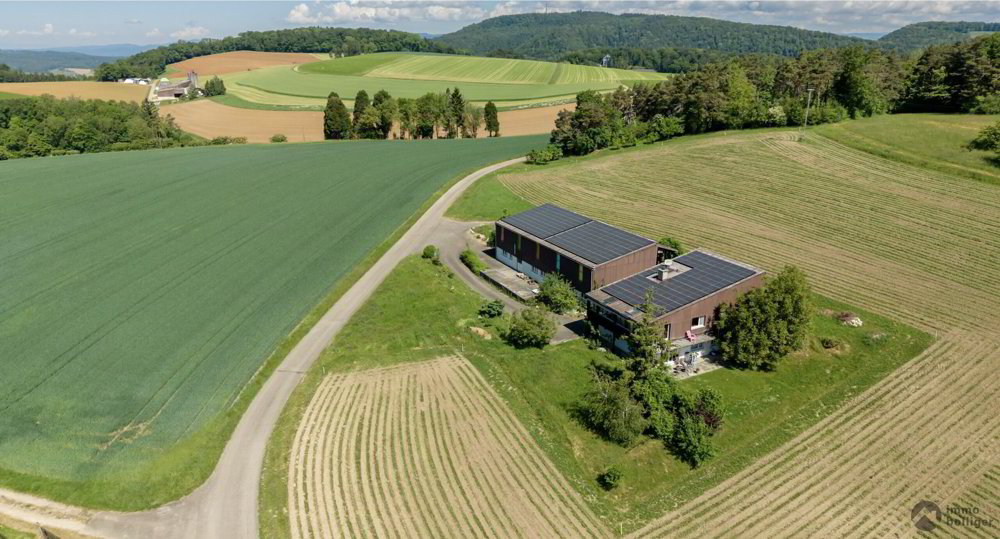 Maison 11 pièces à acheter à Herznach - image 1/13