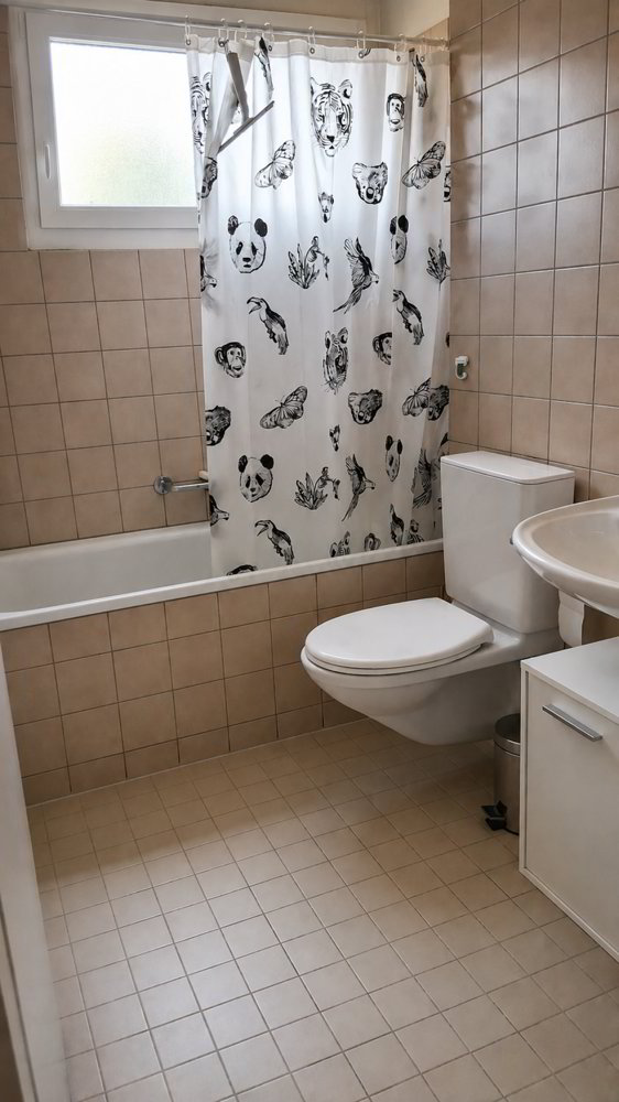 Wohnung – Frauenfeld - Ansicht 5