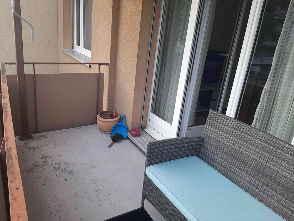 Appartamento di 3 locali in affitto a Spreitenbach - immagine 1/7