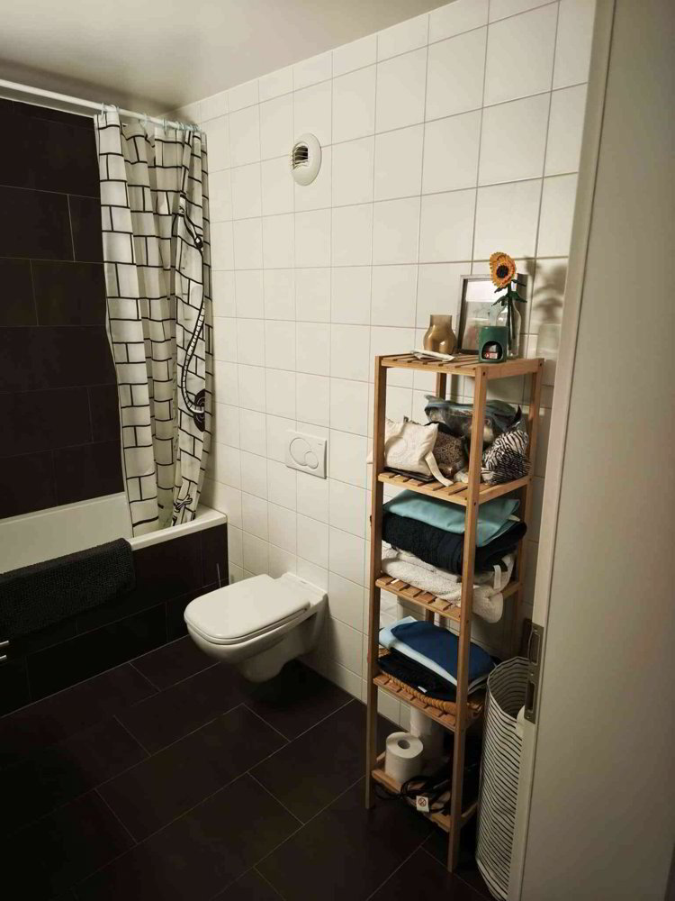 3.5 Zimmer Wohnung zu vermieten in Martigny - Bild 1/13