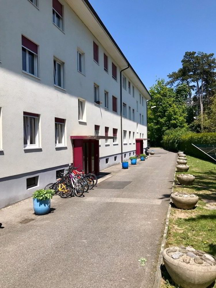 3 Zimmer Wohnung zu vermieten in Versoix - Bild 1/2