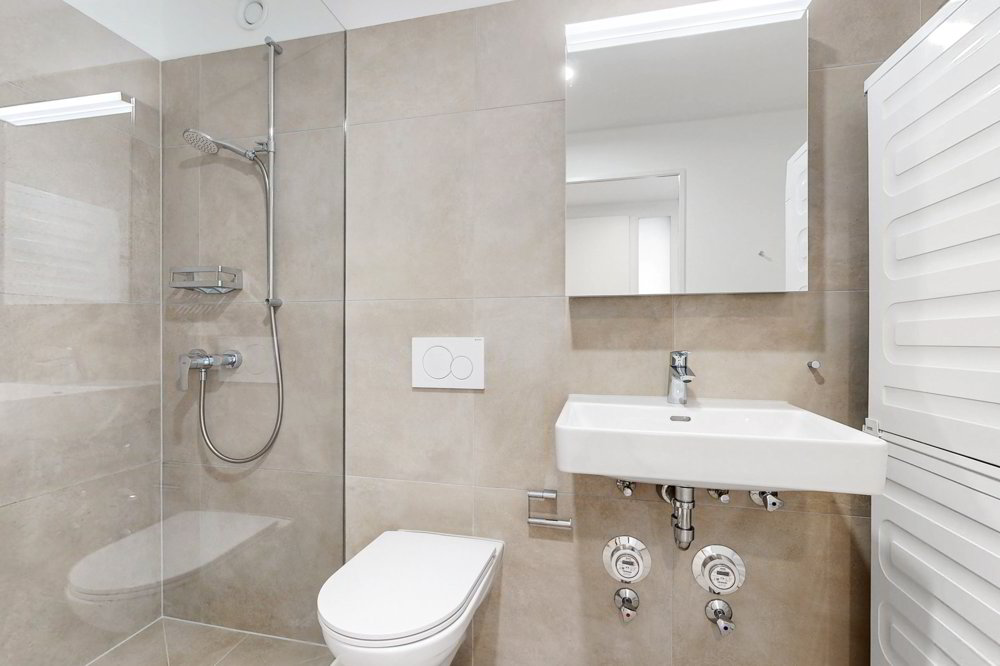 3 rooms Apartment for rent in Aesch BL - image 1/8
