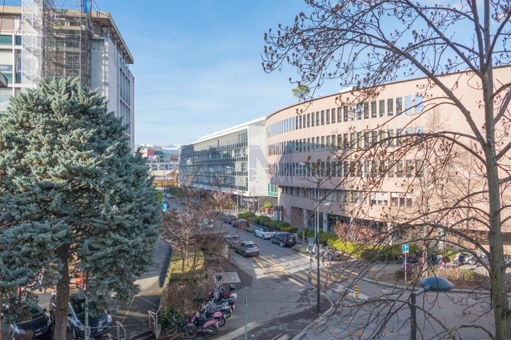 2 Zimmer Wohnung zu vermieten in Carouge GE - Bild 1/13