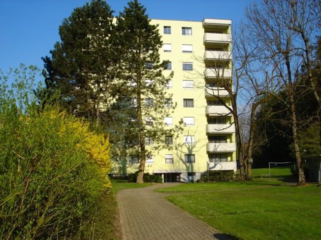 2 Zimmer Wohnung zu vermieten in Uster - Bild 1/1