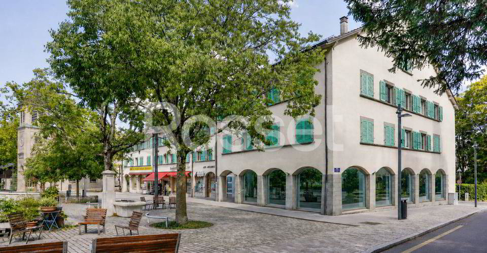 Bureau & Commerce null pièces à louer à Genève - image 1/8