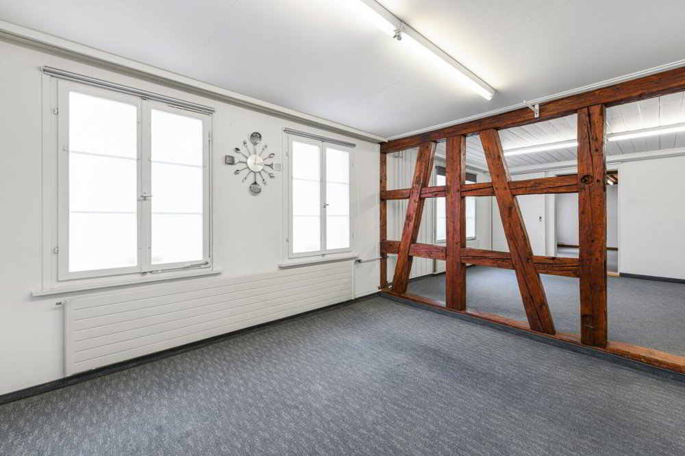 Casa di 12 locali in vendita a Herisau - immagine 1/13