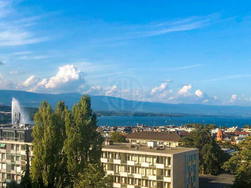 5 rooms Apartment for rent in Genève - image 1/10