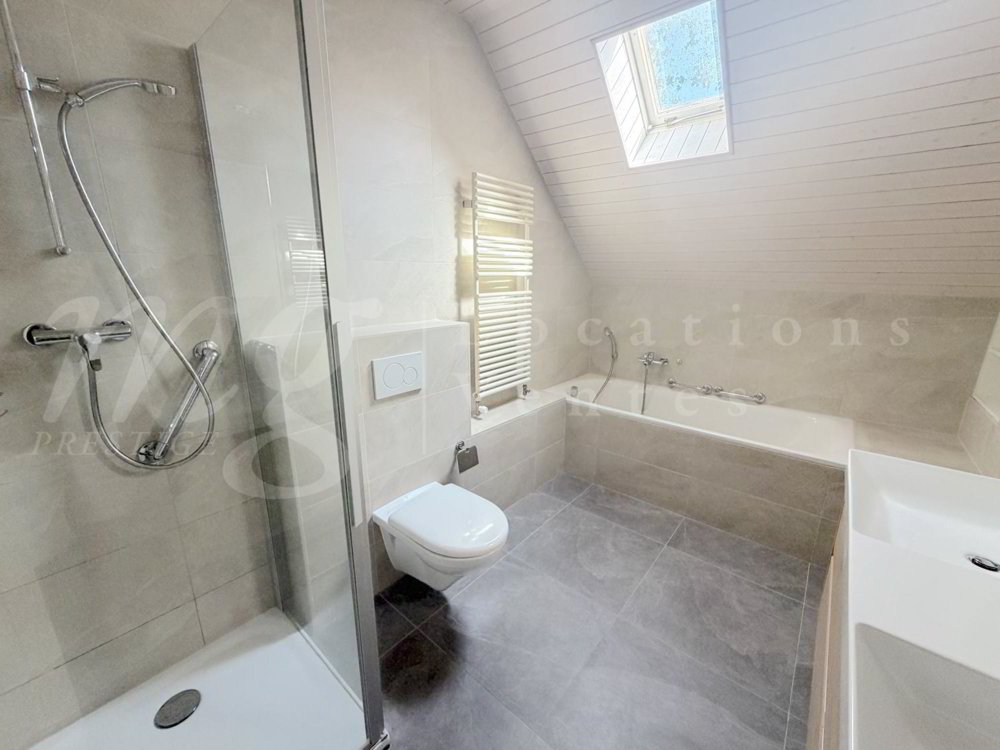 9 Zimmer Haus zu vermieten in Vessy - Bild 1/13