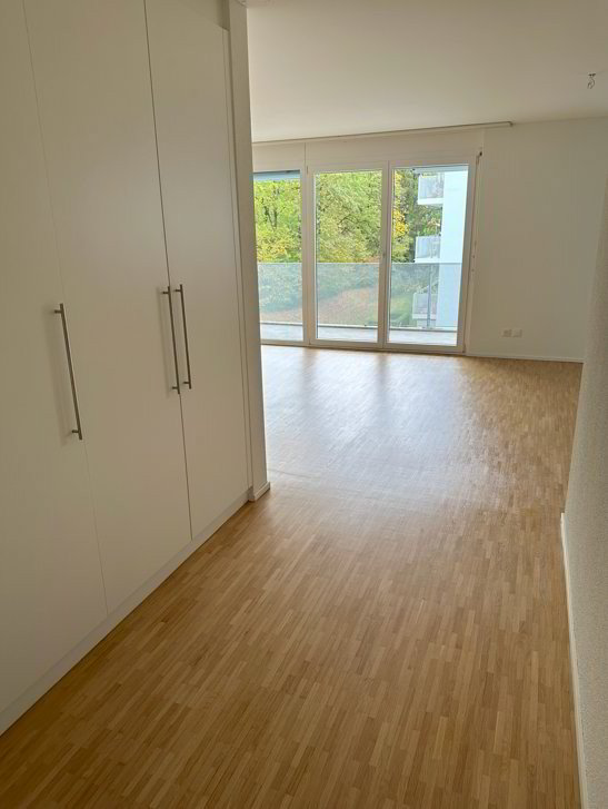 3.5 rooms Apartment for rent in Luzern - image 1/11