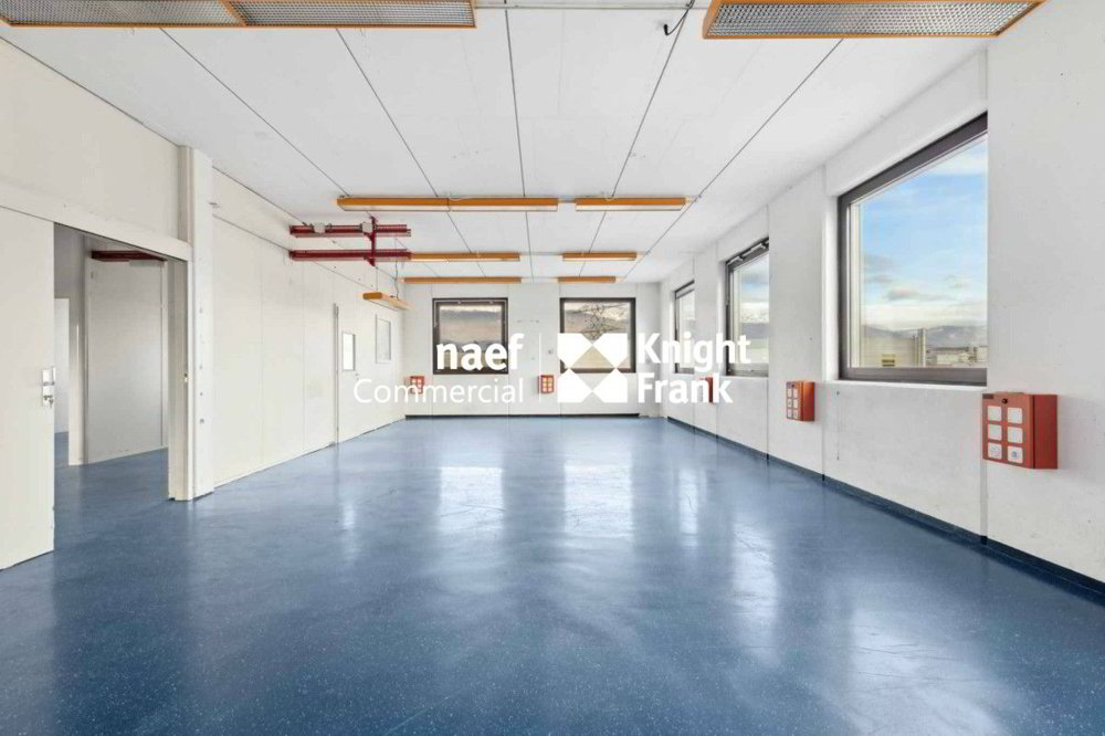 Surface de 430 m² en zone industrielle ZIMEYSA de Meyrin - Ansicht 4
