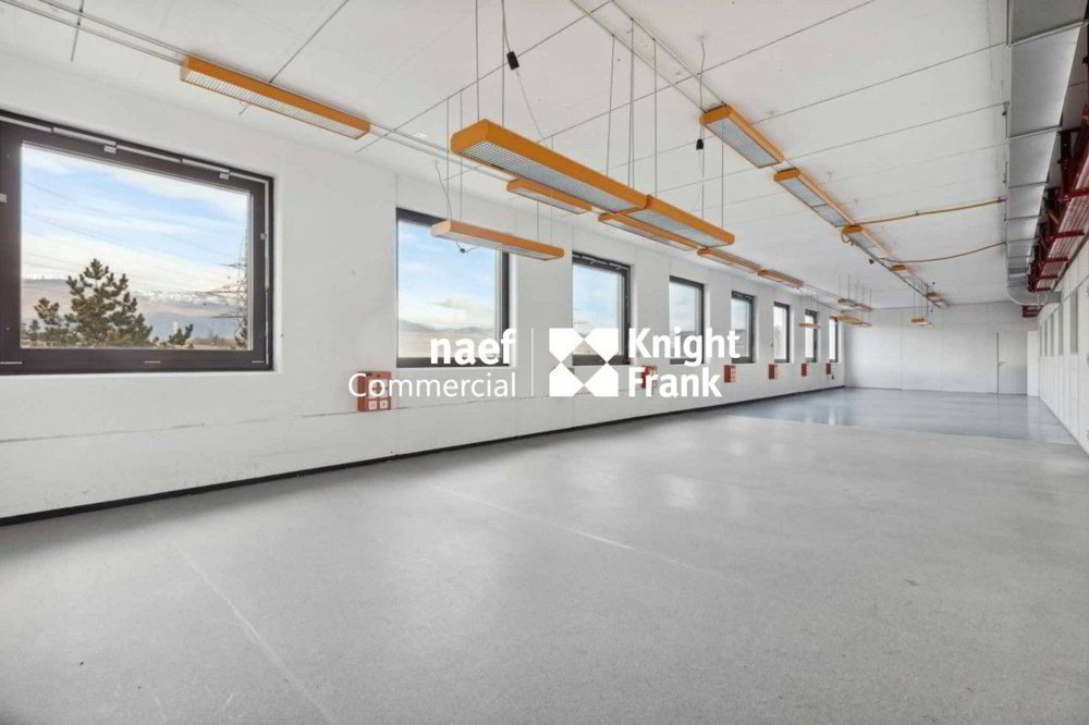Surface de 430 m² en zone industrielle ZIMEYSA de Meyrin - Ansicht 5