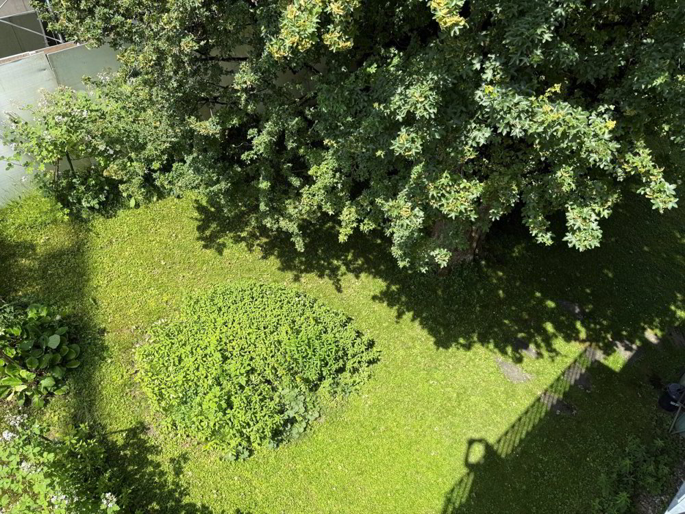 3 Zimmer Wohnung zum verkaufen in Zollikerberg - Bild 1/9