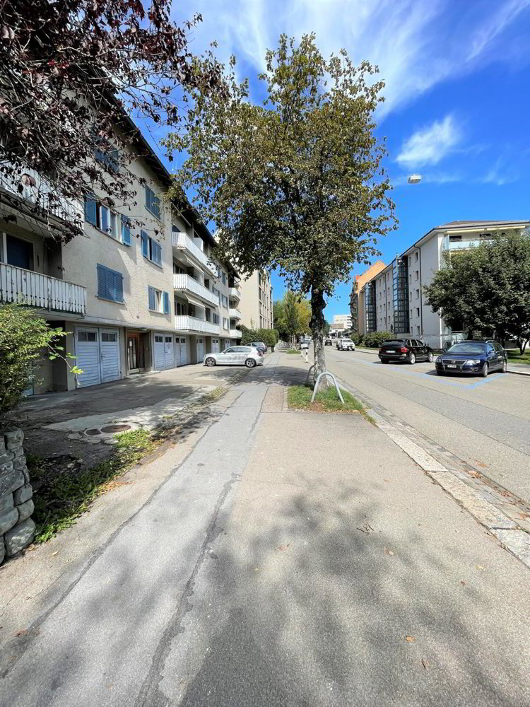 2 Zimmer Wohnung zu vermieten in Saint-Gall - Bild 1/11