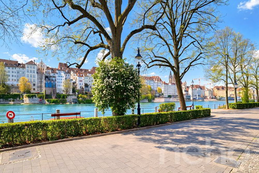 Wohnung – Basel, Hirzbrunnen
