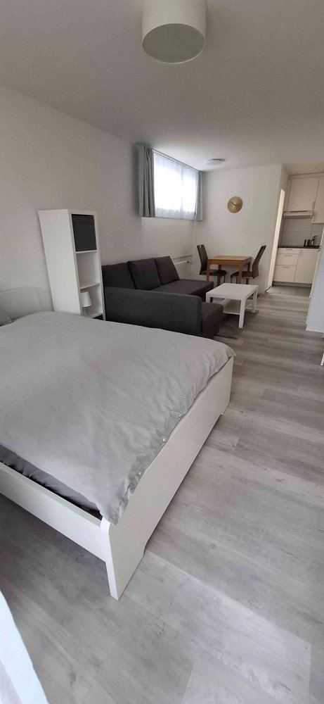 1.5 Zimmer Wohnung zu vermieten in Wettingen - Bild 1/9