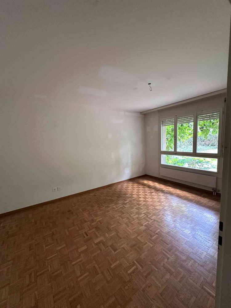 Appartamento di 2 locali in affitto a Berne - immagine 1/10