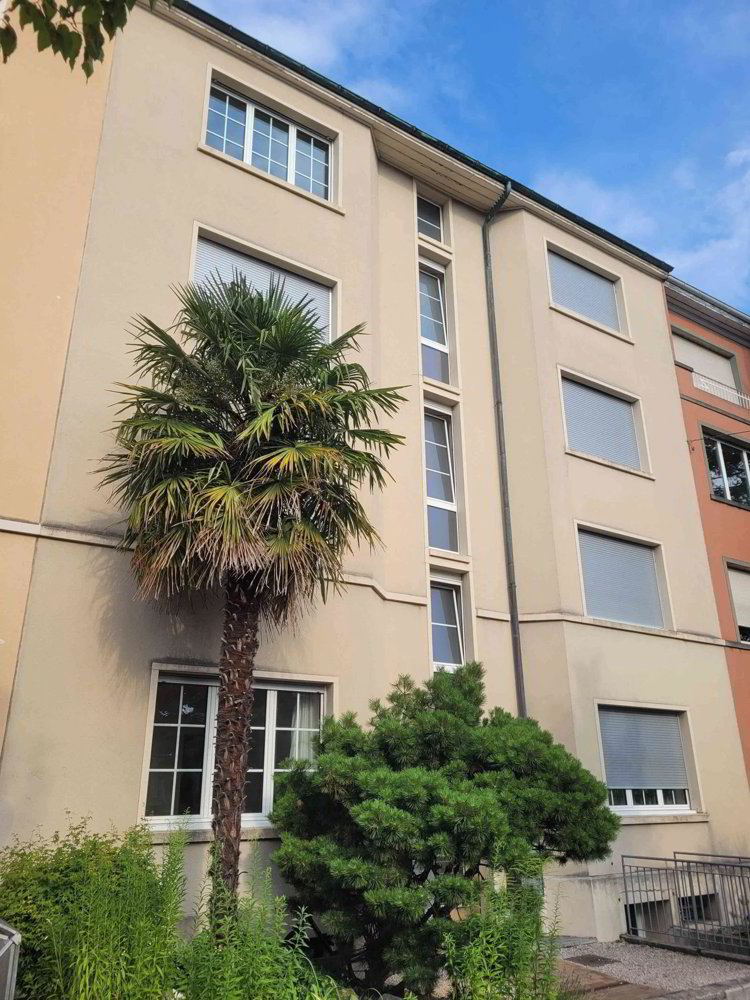 Appartamento di 1 locali in affitto a Basilea - immagine 1/8