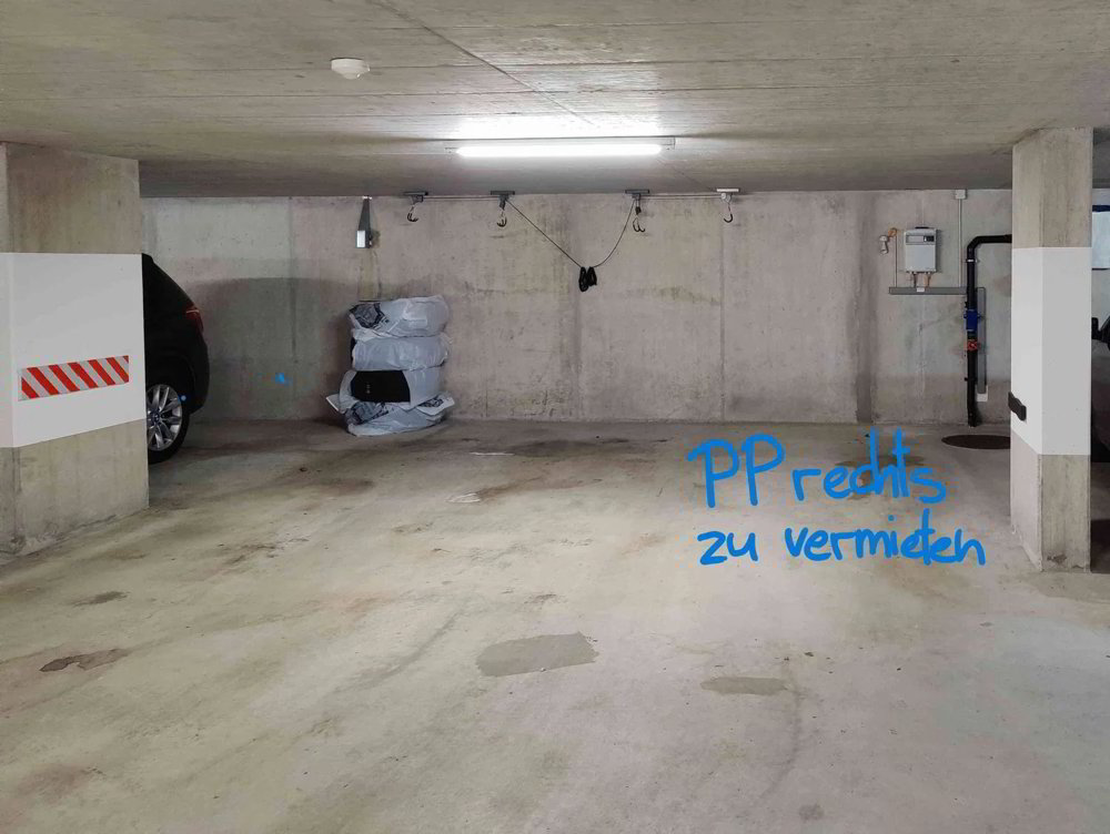 Parking, garage null pièces à louer à Scherzingen - image 1/1