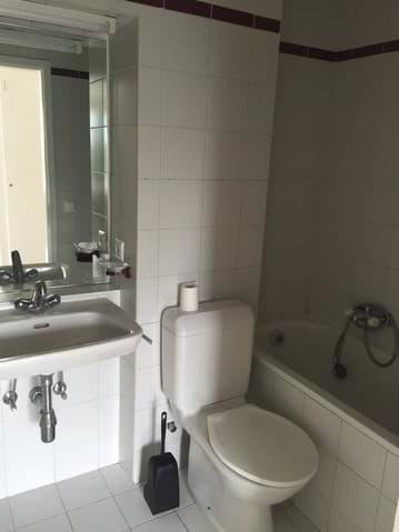 3 Zimmer Wohnung zu vermieten in Neuenburg - Bild 1/9