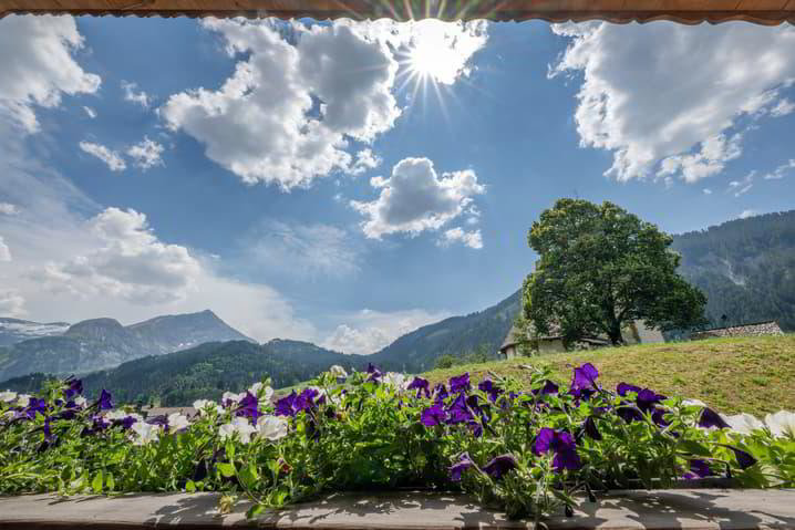 Appartamento di 5.5 locali in vendita a Lauenen b. Gstaad - immagine 1/13