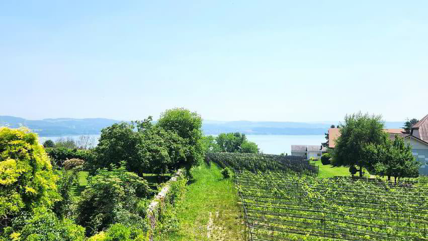 Wohnung – Mur (Vully) FR - Ansicht 2