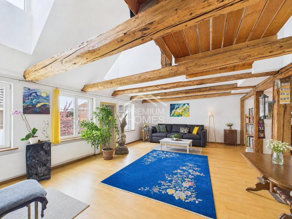 Immeuble d'habitation de 8 pièces en vente à Sulgen - 244 m² - Ansicht 2