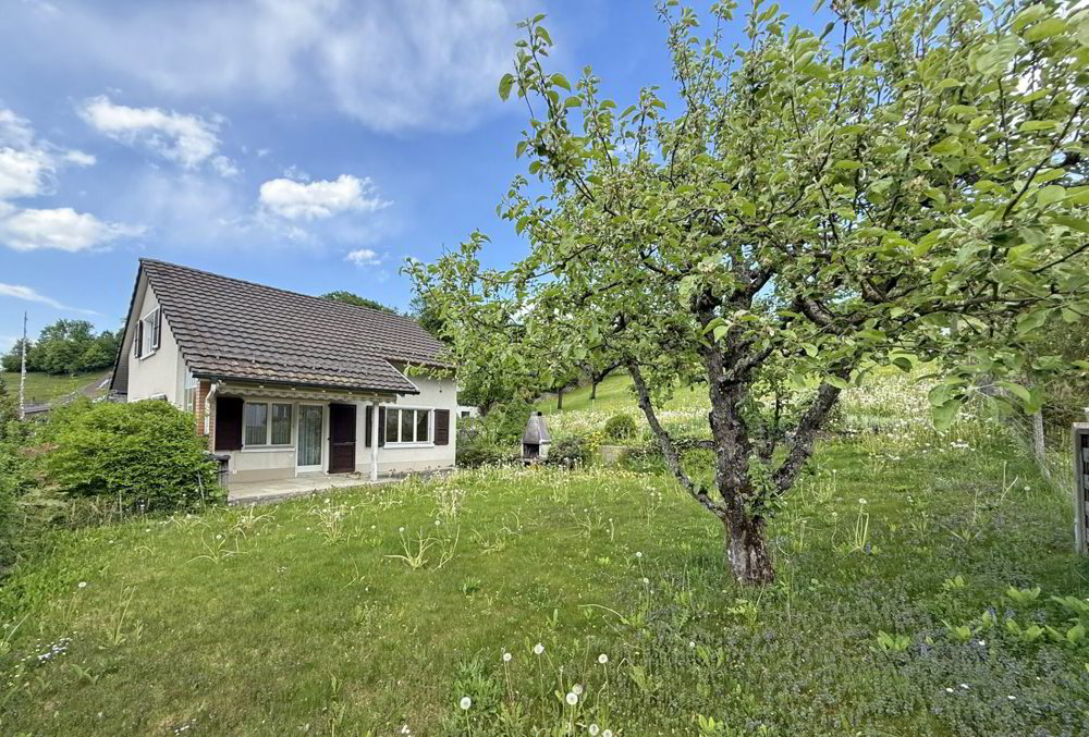 4.5 Zimmer Haus zum verkaufen in Reigoldswil - Bild 1/14