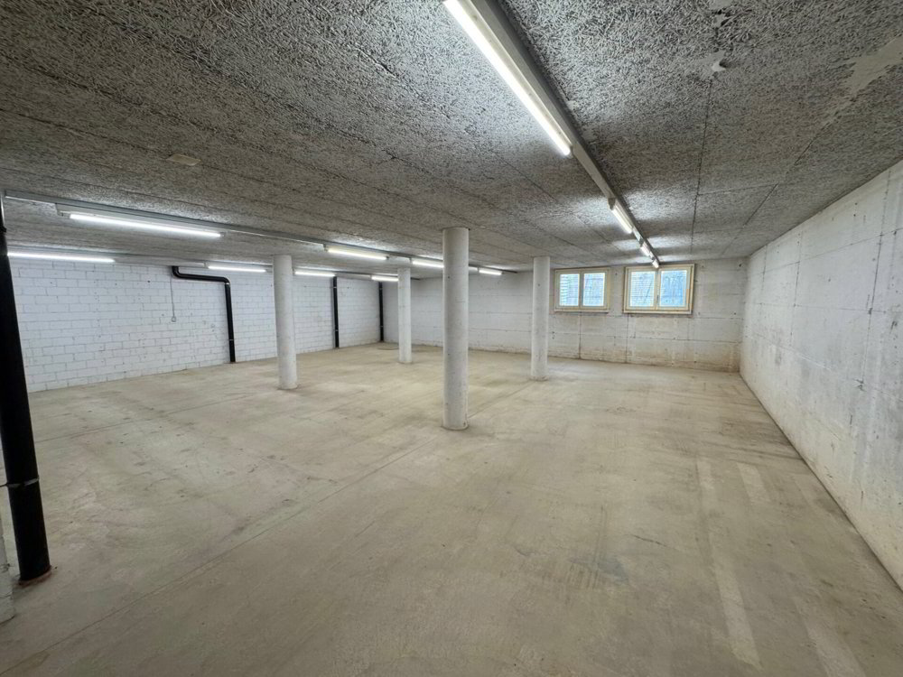 Gewerbeobjekt in Töss - Ansicht 4