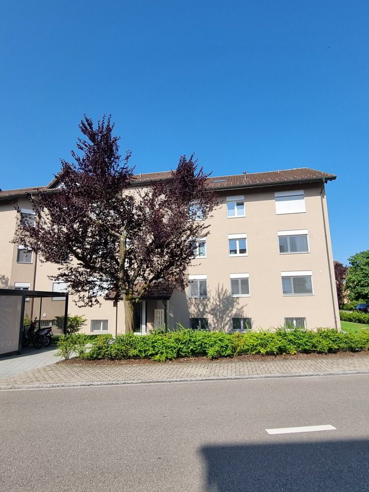 2.5 Zimmer Wohnung zu vermieten in Frauenfeld - Bild 1/7