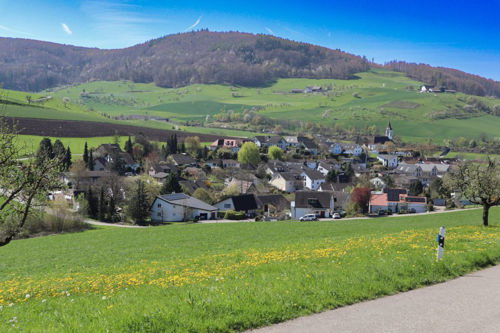 4 Zimmer Haus zum verkaufen in Arisdorf - Bild 1/11