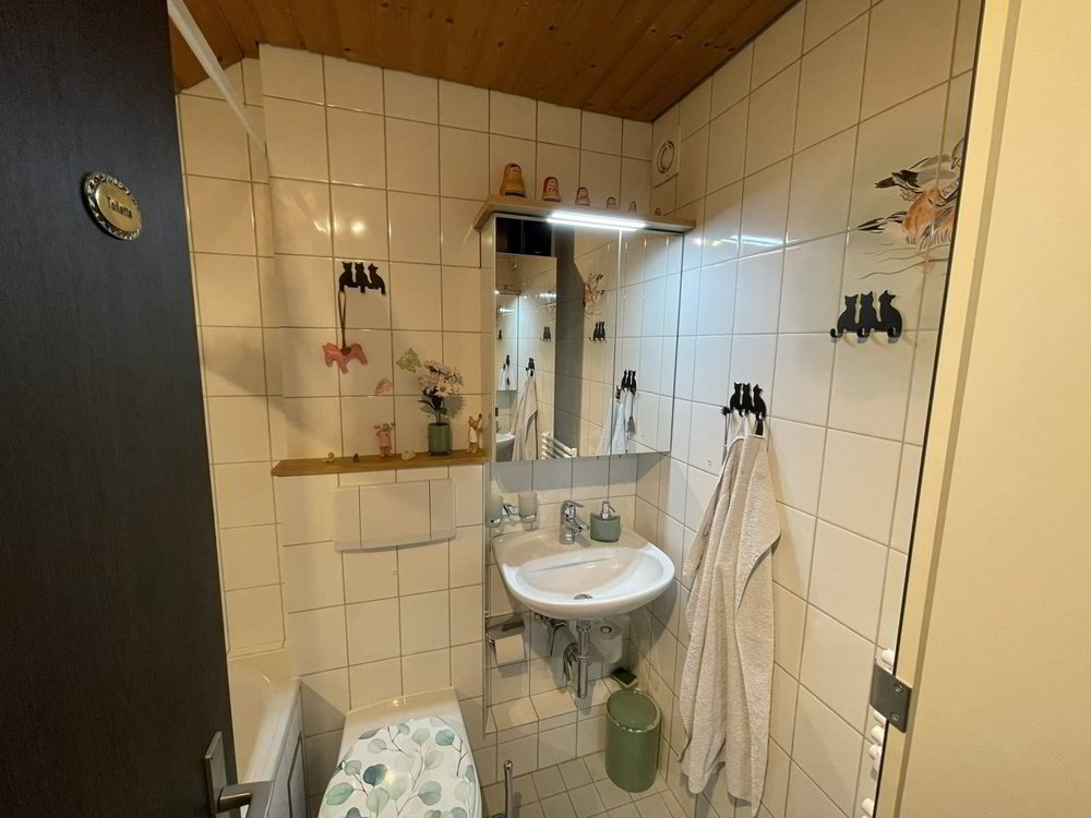 Wohnung – Binningen, St. Margarethen, Bezirk Arlesheim - Mehr