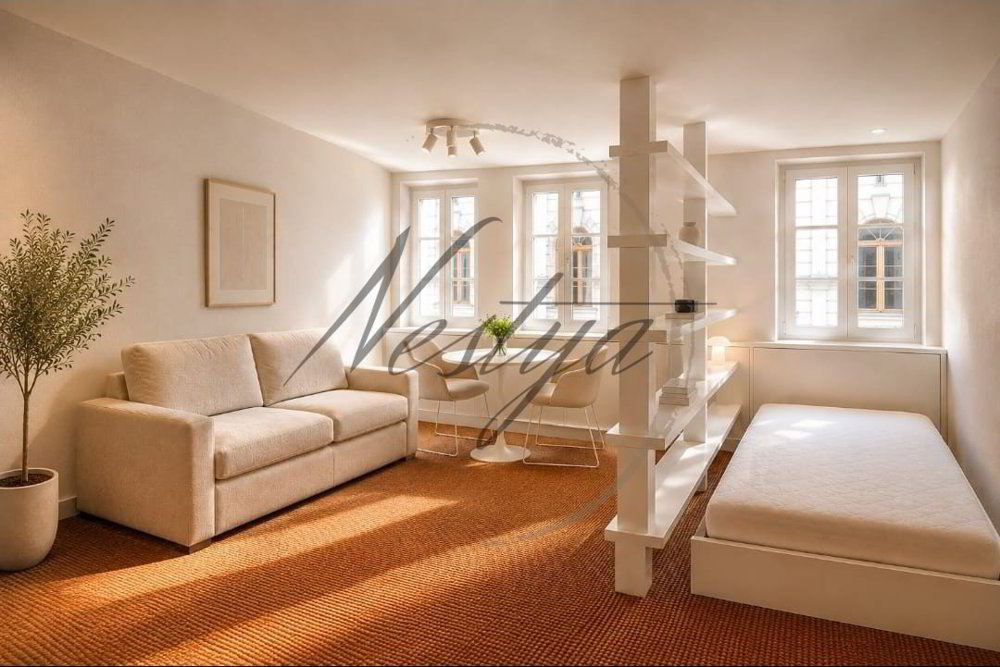 1 rooms Apartment for rent in Geneva - image 1/3