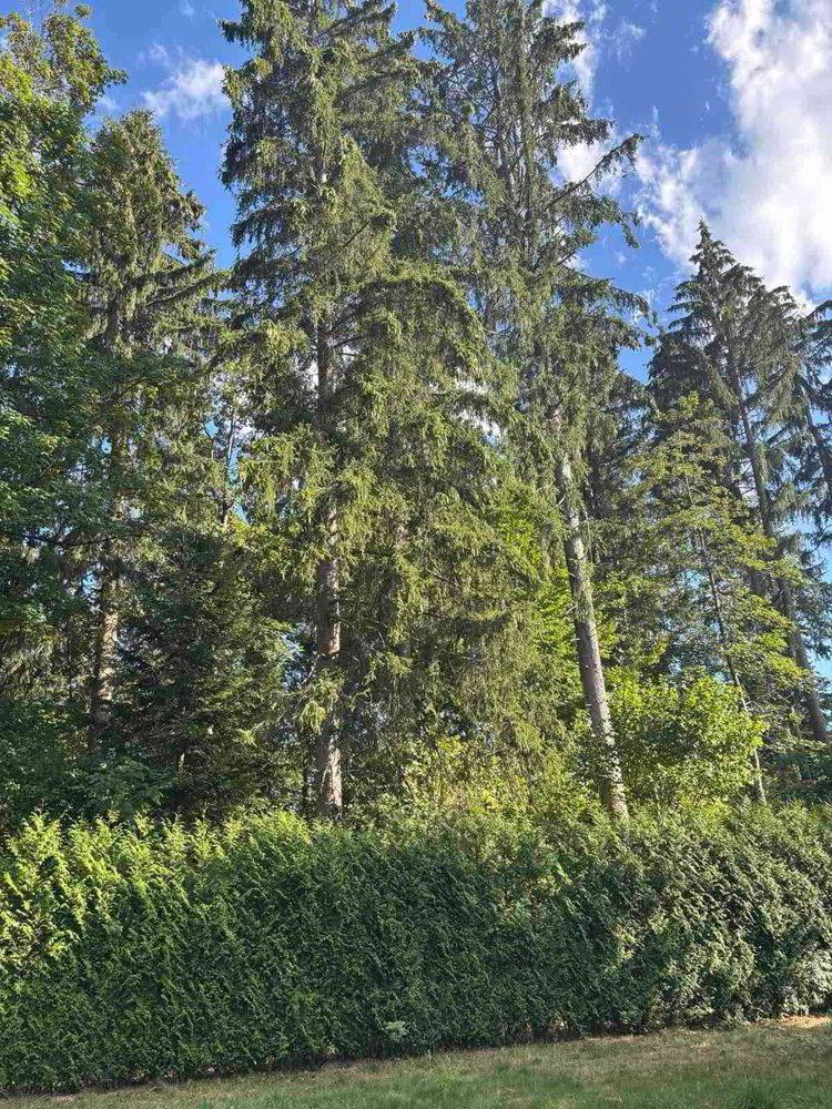 2 Zimmer Haus zu vermieten in Lausanne - Bild 1/8