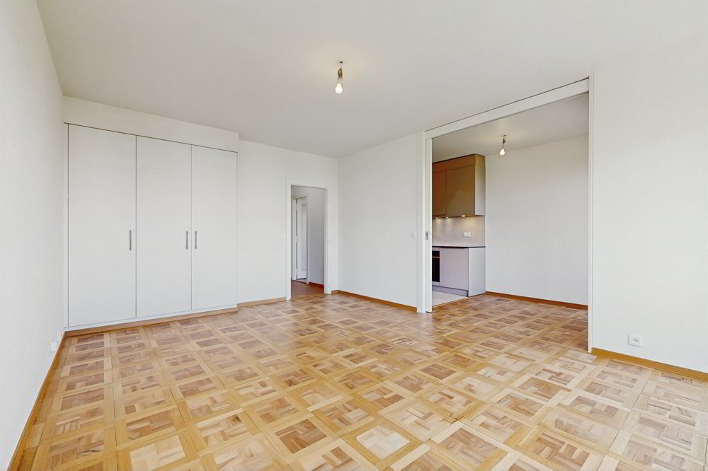 Appartamento di 2 locali in affitto a Grand-Lancy - immagine 1/6