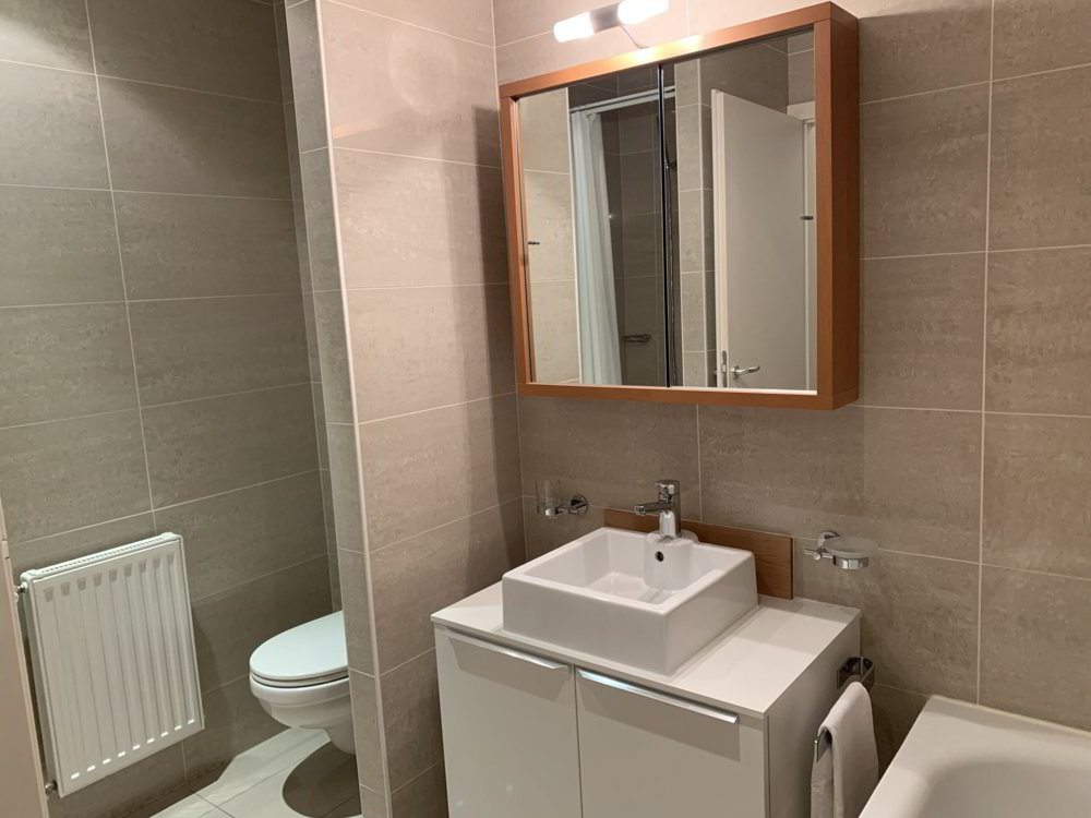Appartement 3 pièces à louer à Losanna - image 1/8