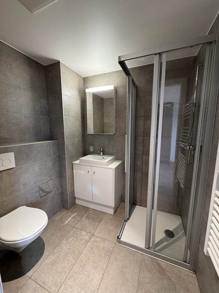 Appartement 1 pièces à louer à Paudex - image 1/4