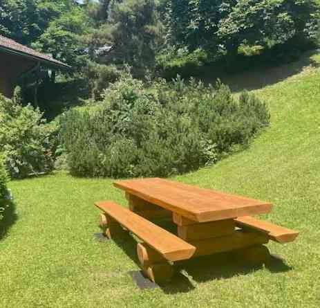 3 rooms Apartment for rent in Gryon - image 1/12