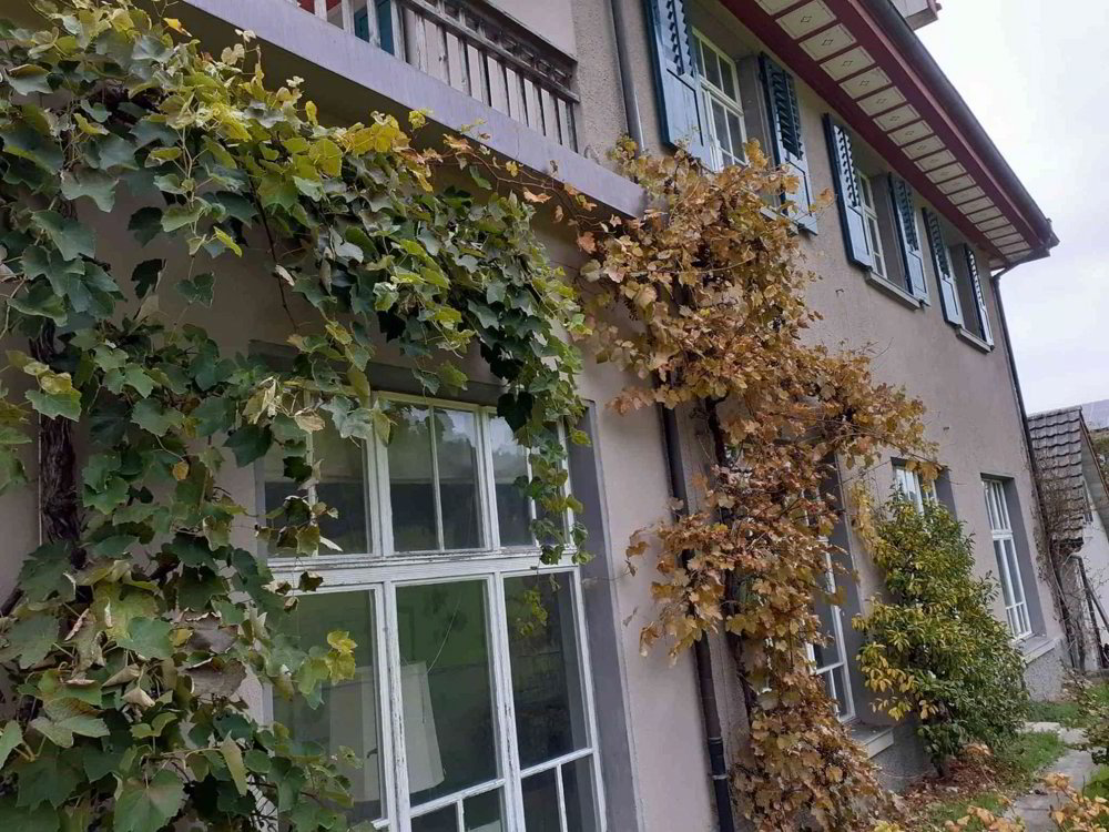 Haus – Bischofszell - Ansicht 4