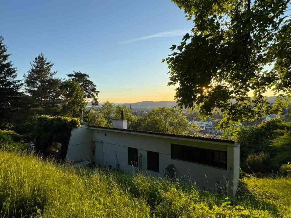 Haus – St. Gallen - Ansicht 3