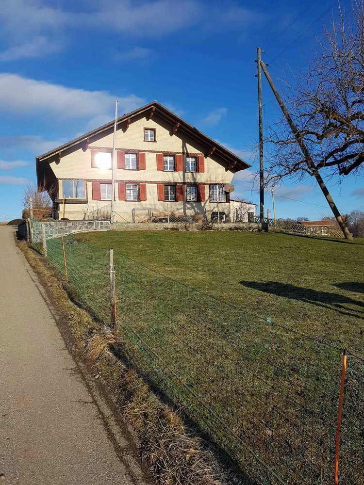 7 rooms House to buy in Thierachern - image 1/6