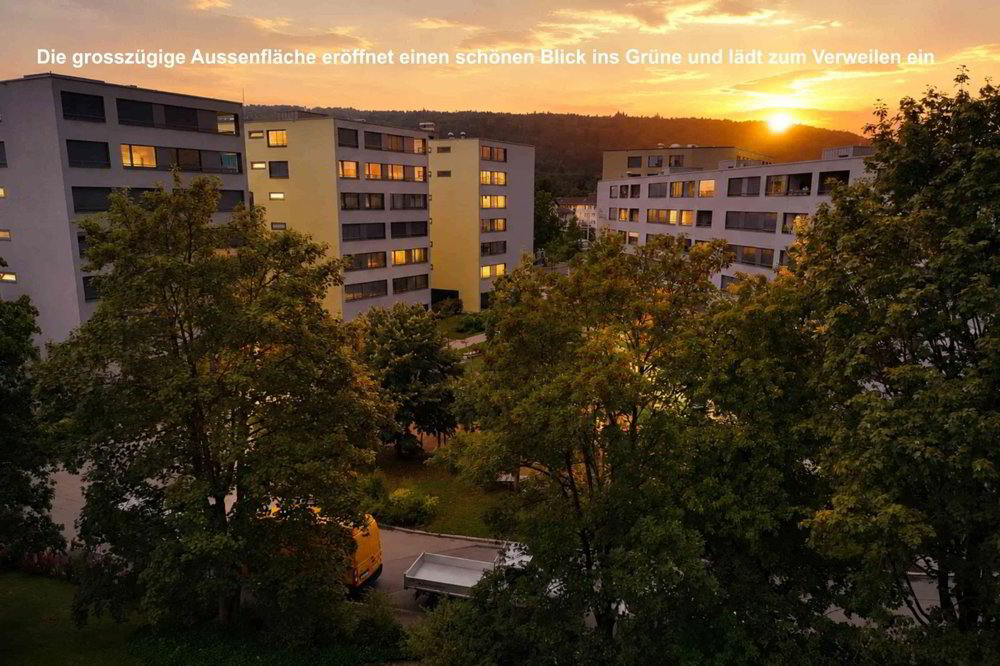 3.5 Zimmer Wohnung zum verkaufen in Zürich - Bild 1/13