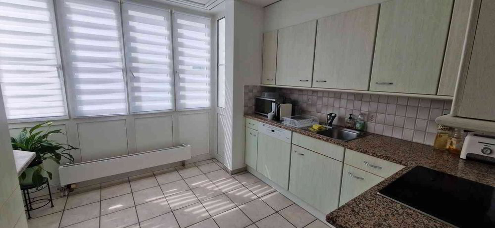 2.5 rooms Apartment for rent in Langwiesen - image 1/11
